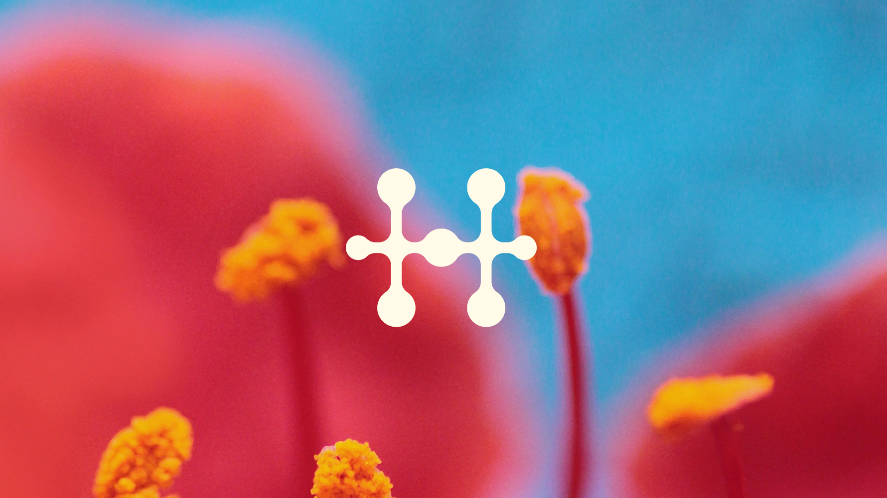 Haven brand identity — case study coming soon